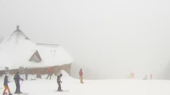 Буковель 29 січня 2019 року, 2019-01-29 10:00