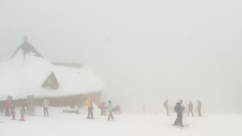 Буковель 29 січня 2019 року, 2019-01-29 13:00