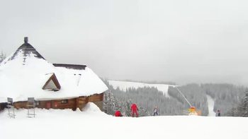 Буковель 29 січня 2019 року, 2019-01-29 16:00