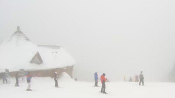Буковель 30 січня 2019 року, 2019-01-30 10:00