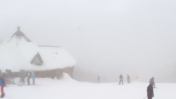 Буковель 31 січня 2019 року, 2019-01-31 13:00
