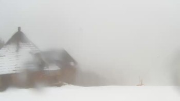 Буковель 17 квітня 2019 року, 2019-04-17 16:00