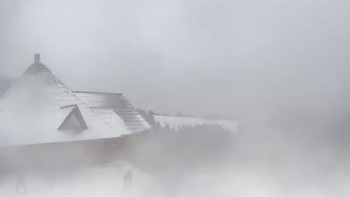 Буковель 26 грудня 2019 року, 2019-12-26 10:00
