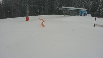 Буковель 23 березня 2020 року, 2020-03-23 10:00