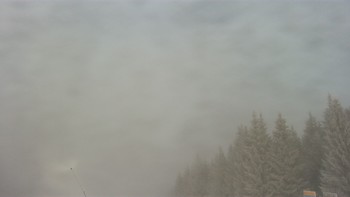 Буковель 20 грудня 2020 року, 2020-12-20 10:00