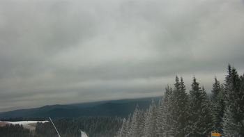 Буковель 22 грудня 2020 року, 2020-12-22 13:00