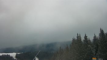 Буковель 12 січня 2021 року, 2021-01-12 16:00