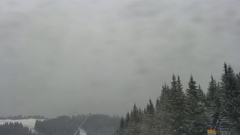 Буковель 13 січня 2021 року, 2021-01-13 13:00