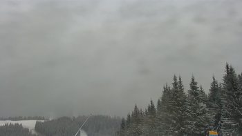 Буковель 14 січня 2021 року, 2021-01-14 10:00