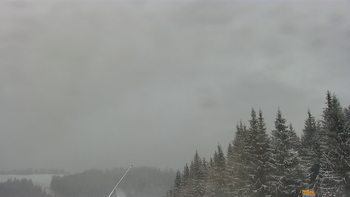 Буковель 14 січня 2021 року, 2021-01-14 13:00