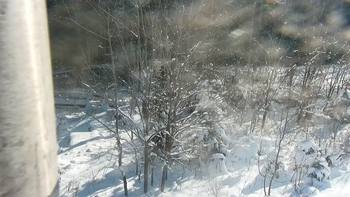 Буковель 16 січня 2021 року, 2021-01-16 10:00