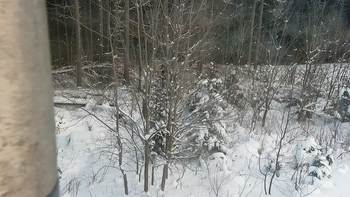 Буковель 16 січня 2021 року, 2021-01-16 16:00