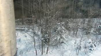 Буковель 17 січня 2021 року, 2021-01-17 13:00