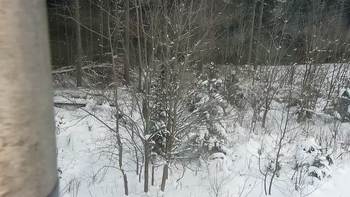 Буковель 17 січня 2021 року, 2021-01-17 16:00