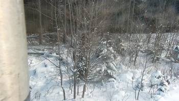 Буковель 18 січня 2021 року, 2021-01-18 13:00