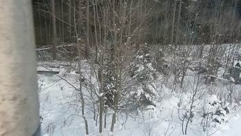 Буковель 18 січня 2021 року, 2021-01-18 16:00