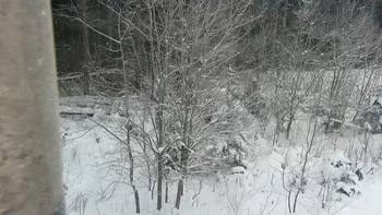 Буковель 19 січня 2021 року, 2021-01-19 10:00