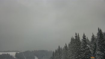 Буковель 19 січня 2021 року, 2021-01-19 13:00
