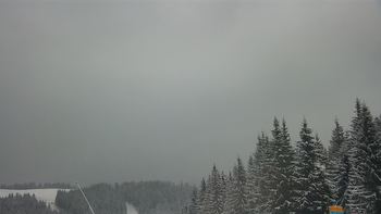 Буковель 19 січня 2021 року, 2021-01-19 16:00
