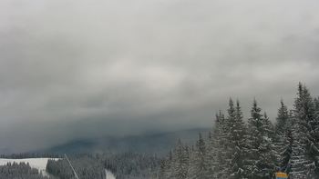 Буковель 20 січня 2021 року, 2021-01-20 10:00