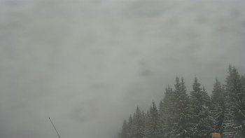 Буковель 20 січня 2021 року, 2021-01-20 13:00