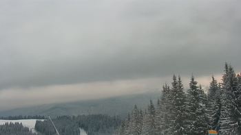 Буковель 20 січня 2021 року, 2021-01-20 16:00