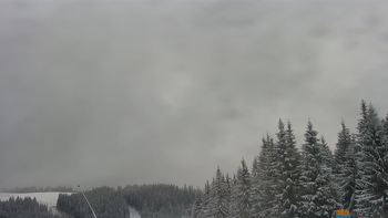 Буковель 25 січня 2021 року, 2021-01-25 13:00