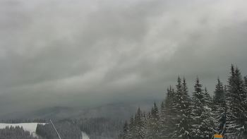 Буковель 29 січня 2021 року, 2021-01-29 13:00