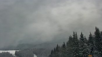 Буковель 29 січня 2021 року, 2021-01-29 16:00