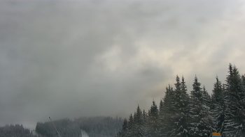 Буковель 30 січня 2021 року, 2021-01-30 13:00