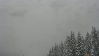 Буковель 7 лютого 2021 року, 2021-02-07 10:00