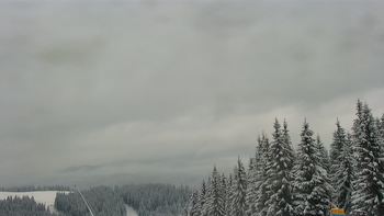 Буковель 7 лютого 2021 року, 2021-02-07 13:00