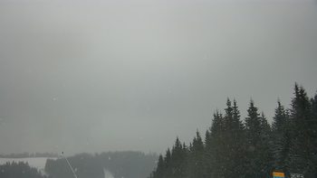 Буковель 9 лютого 2021 року, 2021-02-09 16:00