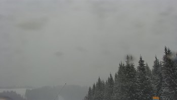 Буковель 11 лютого 2021 року, 2021-02-11 13:00