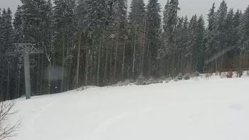 Буковель 10 березня 2021 року, 2021-03-10 16:00