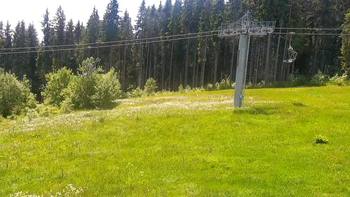 Буковель 24 червня 2021 року, 2021-06-24 13:00