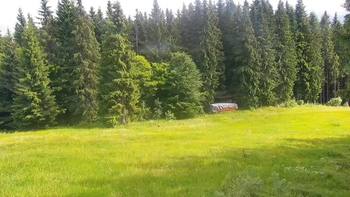 Буковель 27 червня 2021 року, 2021-06-27 10:00