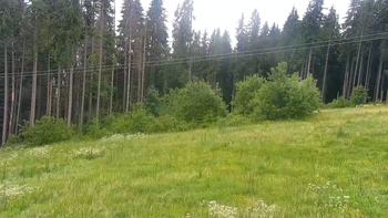 Буковель 1 липня 2021 року, 2021-07-01 10:00