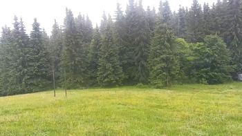 Буковель 4 липня 2021 року, 2021-07-04 10:00