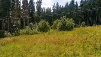 Буковель 3 серпня 2021 року, 2021-08-03 13:00