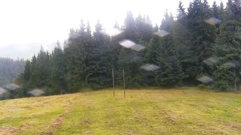 Буковель 1 вересня 2021 року, 2021-09-01 13:00