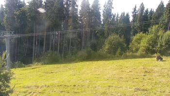 Буковель 6 вересня 2021 року, 2021-09-06 10:00