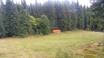 Буковель 19 вересня 2021 року, 2021-09-19 13:00