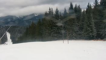 Буковель 1 грудня 2021 року, 2021-12-01 13:00