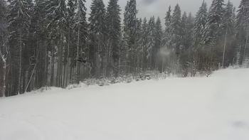 Буковель 20 грудня 2021 року, 2021-12-20 13:00