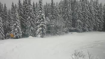Буковель 21 грудня 2021 року, 2021-12-21 13:00