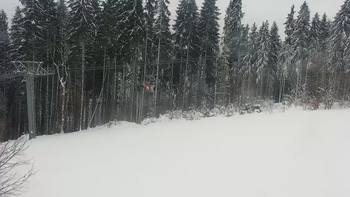 Буковель 22 грудня 2021 року, 2021-12-22 10:00