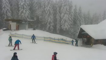 Буковель 29 грудня 2021 року, 2021-12-29 10:00
