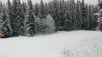 Буковель 6 січня 2022 року, 2022-01-06 16:00