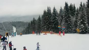 Буковель 8 січня 2022 року, 2022-01-08 13:00